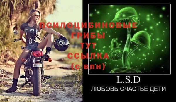 скорость Алзамай