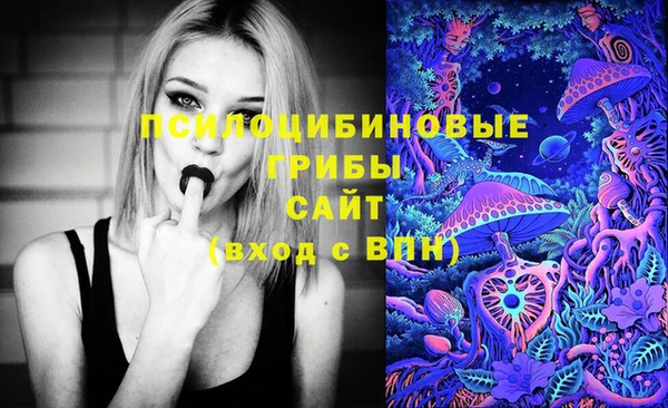 скорость Алзамай